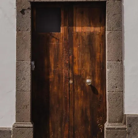 Encanto Canario En *