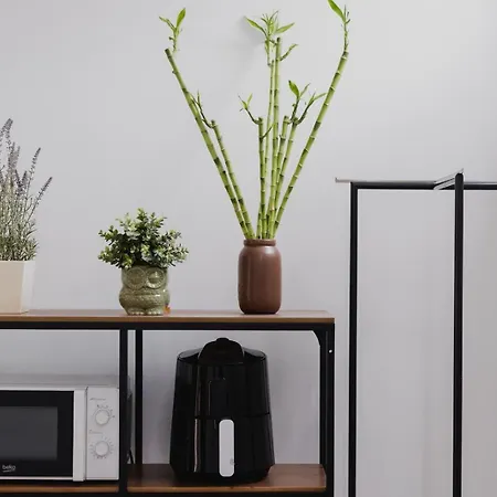 Διαμέρισμα Encanto Canario En *