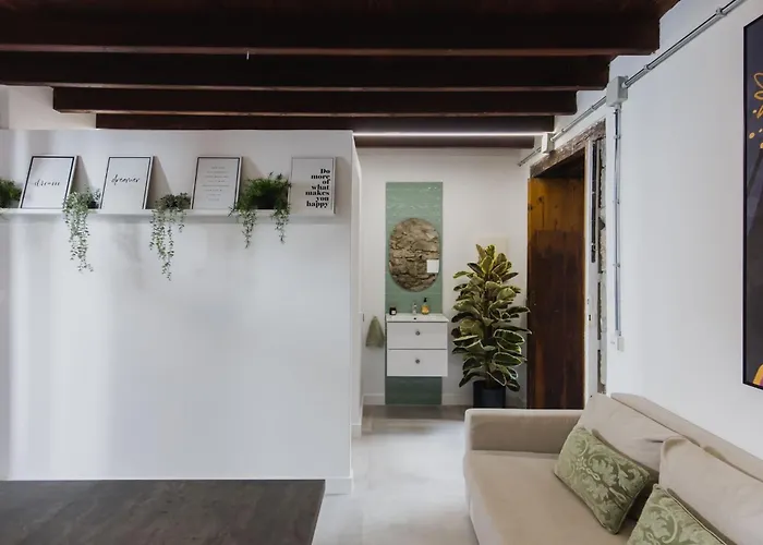 Encanto Canario En *