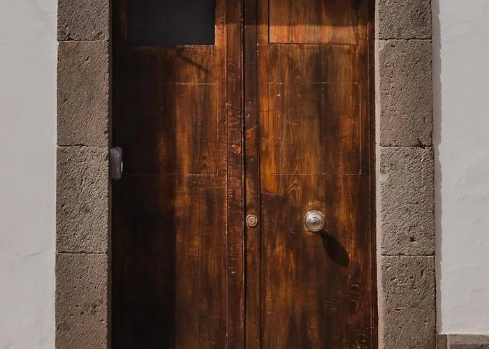 Encanto Canario En *